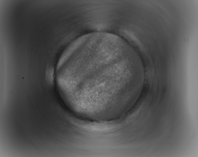 X0000089340024200706291010