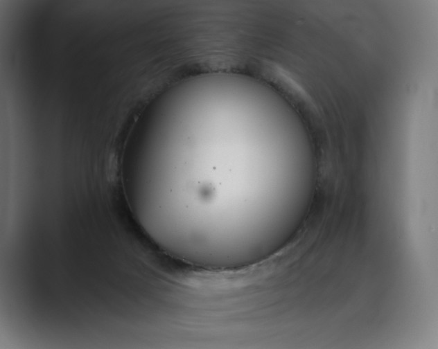 X0000089340025200706291010