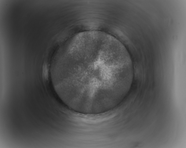 X0000089340026200706291010