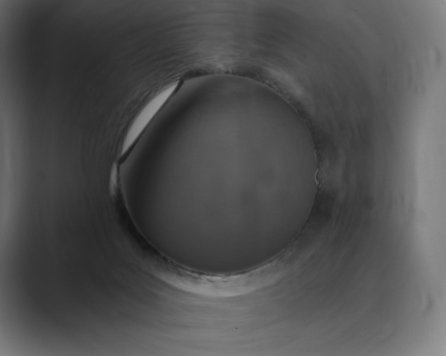 X0000089340027200706291010
