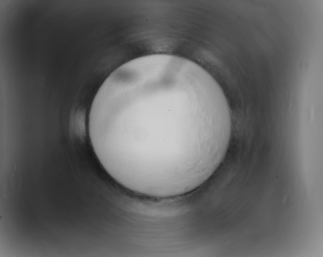 X0000089340028200706291010