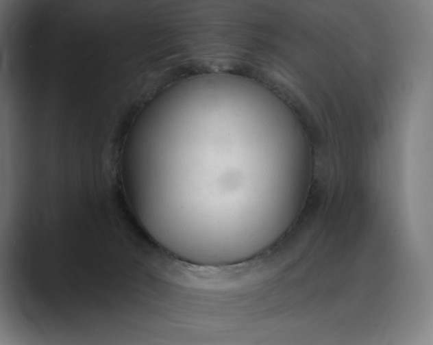 X0000089340030200706291010
