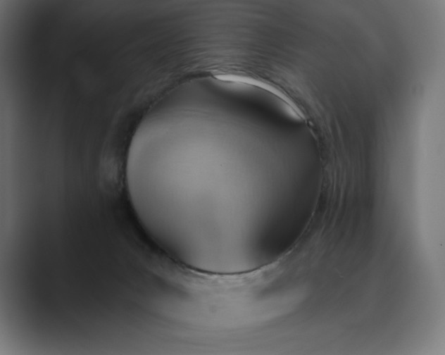X0000089340031200706291010