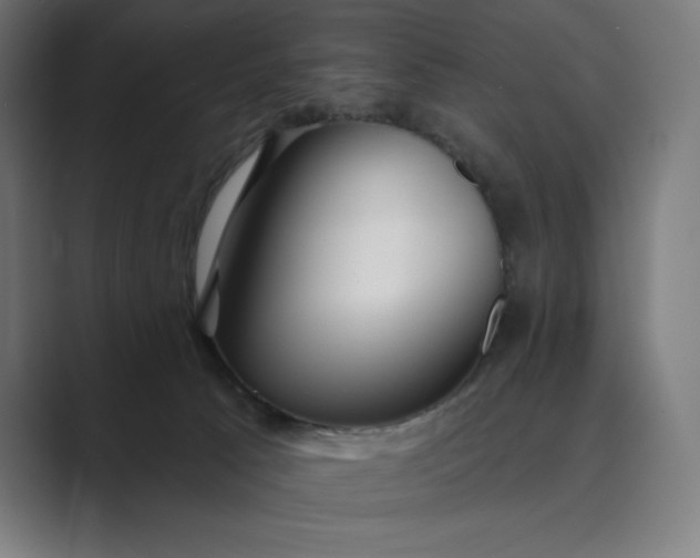 X0000089340033200706291010