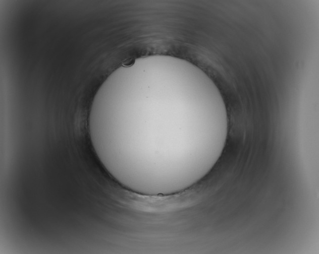 X0000089340034200706291010