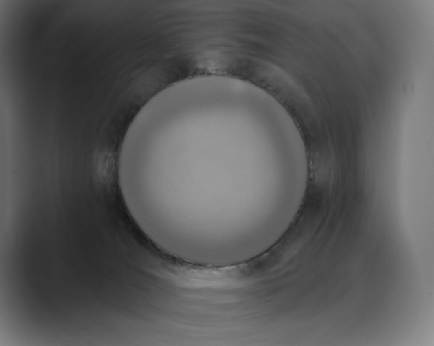 X0000089340036200706291010