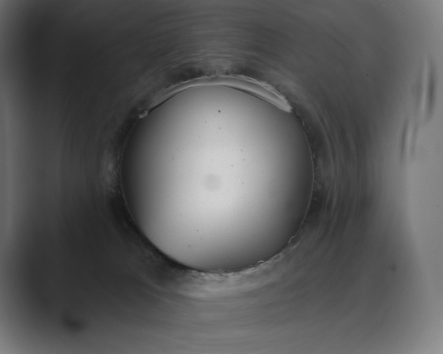 X0000089340037200706291010