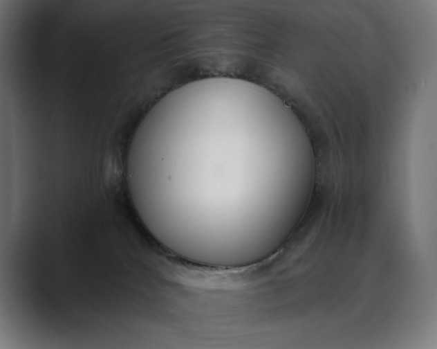 X0000089340040200706291010