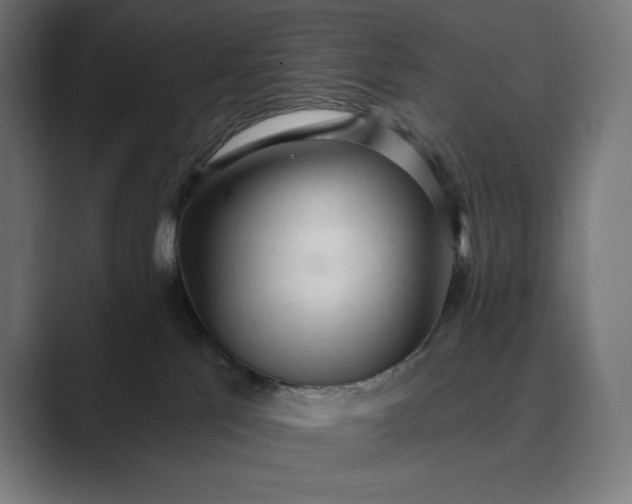 X0000089340041200706291010