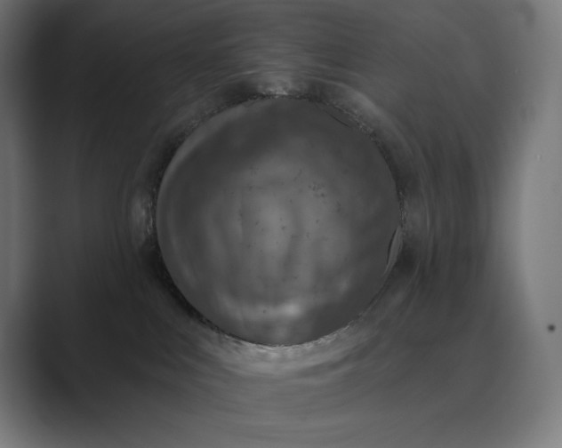 X0000089340043200706291010