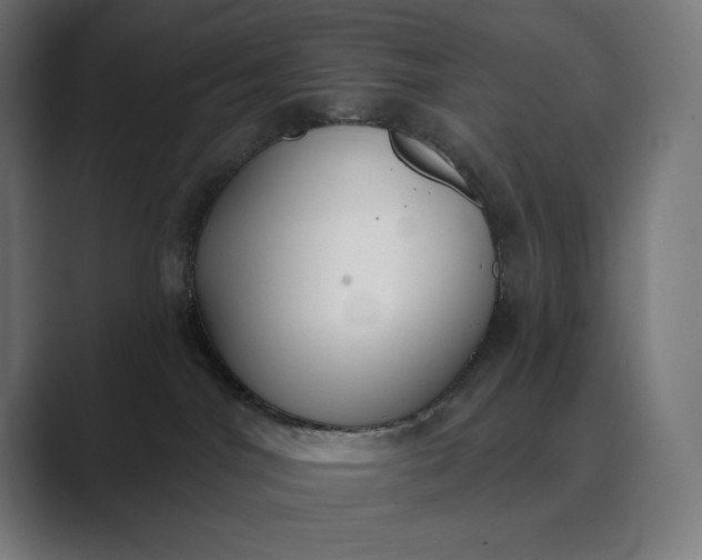 X0000089340044200706291010