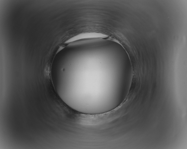 X0000089340045200706291010
