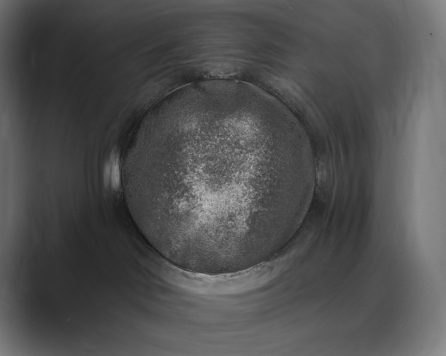 X0000089340046200706291010
