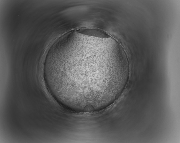 X0000089340049200706291009
