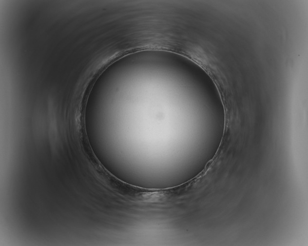 X0000089340050200706291009