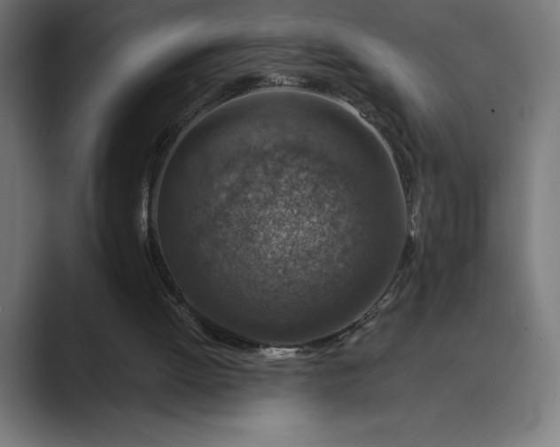 X0000089340052200706291009