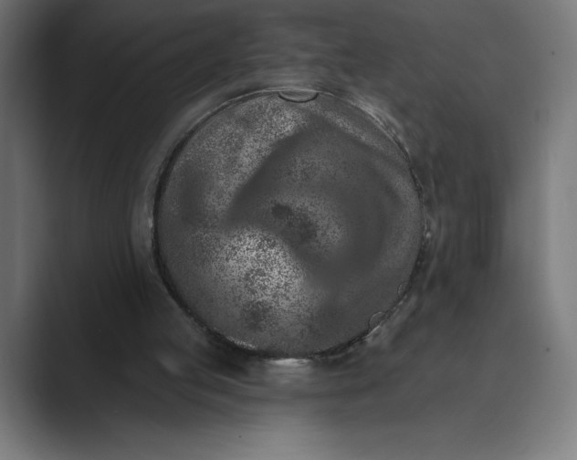 X0000089340053200706291009