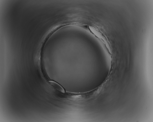 X0000089340054200706291009