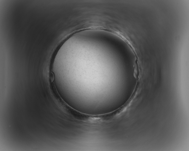 X0000089340055200706291009