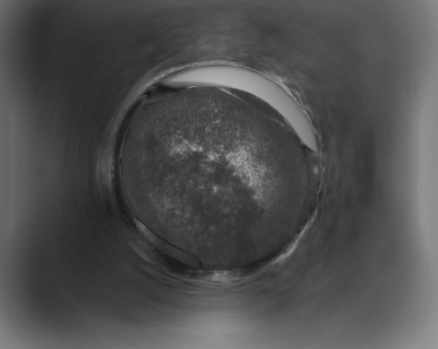 X0000089340056200706291009