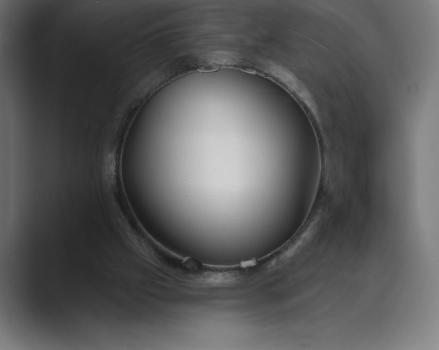 X0000089340057200706291009
