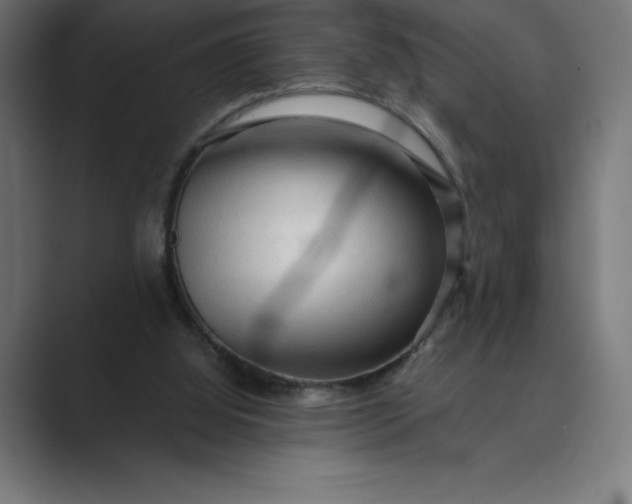 X0000089340060200706291009