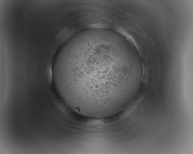 X0000089340061200706291009