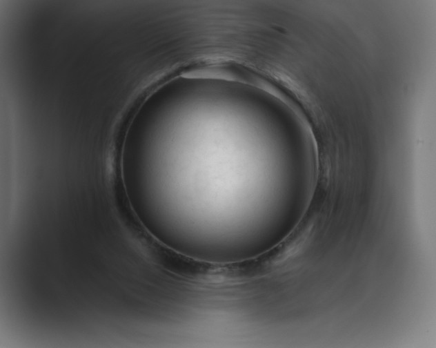 X0000089340064200706291009