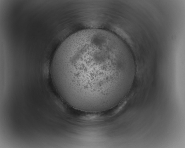 X0000089340065200706291009