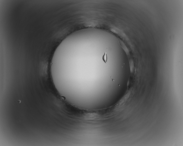 X0000089340066200706291009