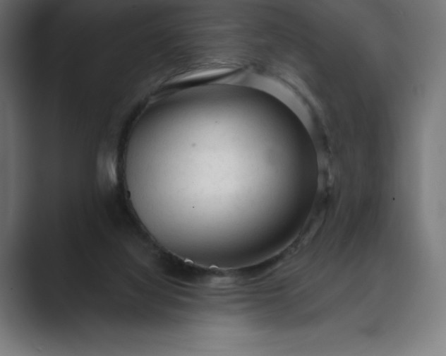 X0000089340068200706291009