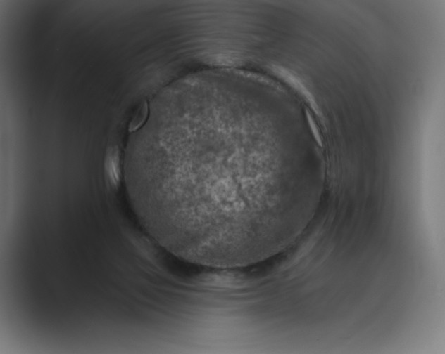 X0000089340069200706291009