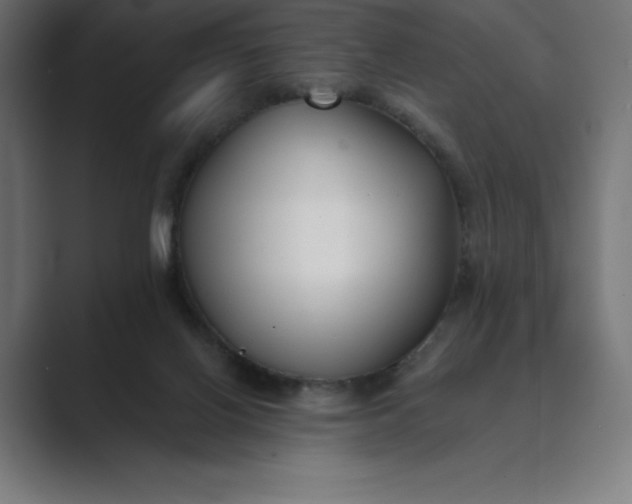 X0000089340070200706291009