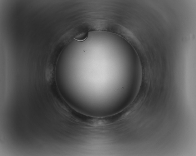 X0000089340073200706291010