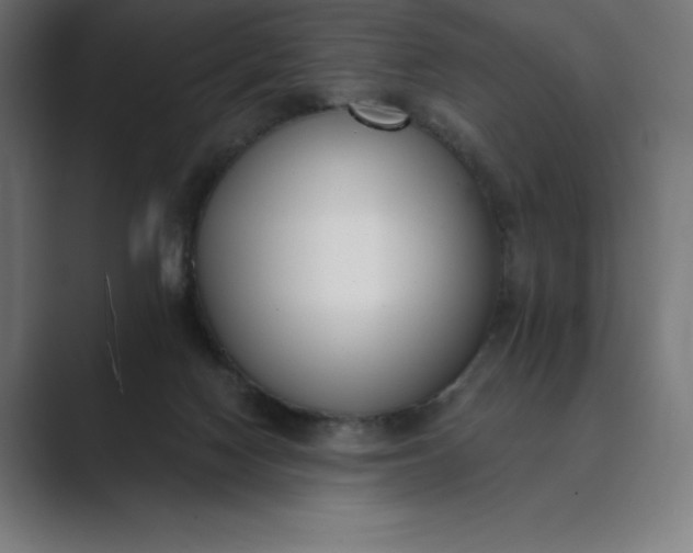 X0000089340074200706291010