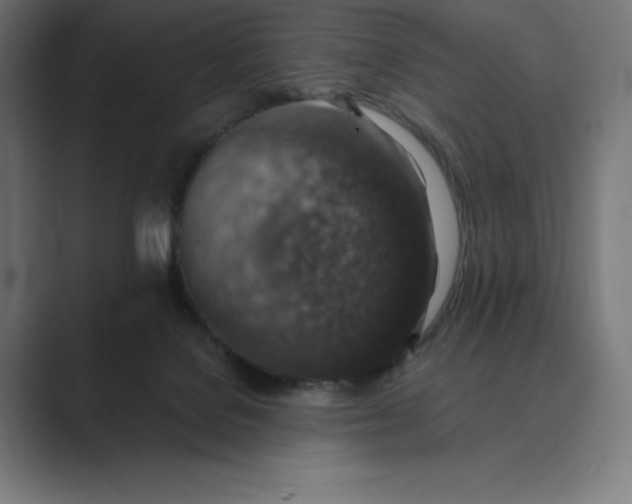 X0000089340076200706291010