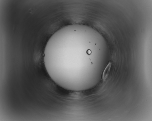 X0000089340079200706291010