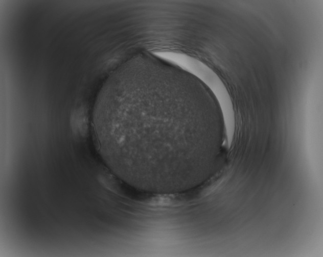 X0000089340080200706291010