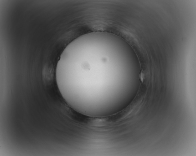 X0000089340081200706291010