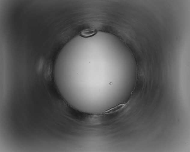 X0000089340082200706291010