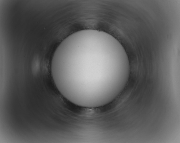 X0000089340083200706291010