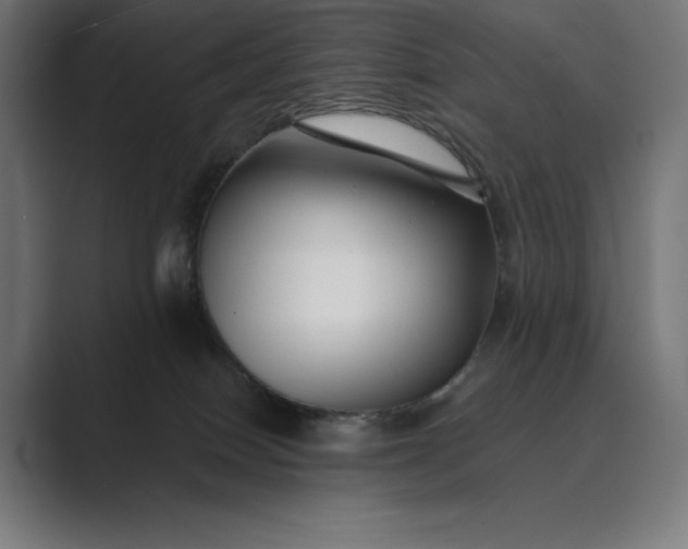 X0000089340086200706291010