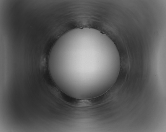 X0000089340087200706291010