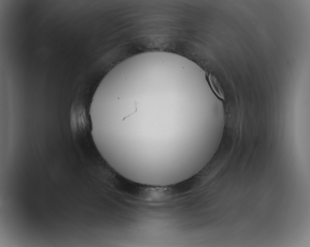 X0000089340089200706291010