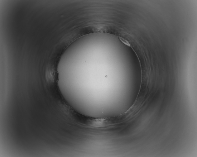 X0000089340090200706291010