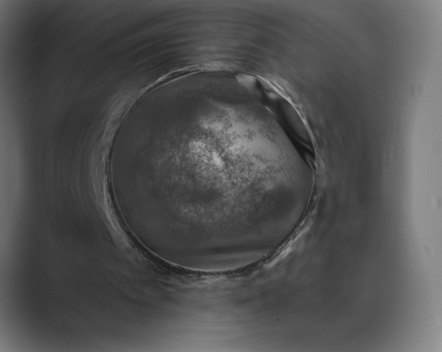 X0000089340097200706291009