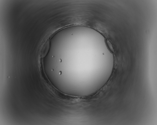 X0000089340098200706291009