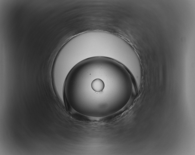 X0000089340099200706291009