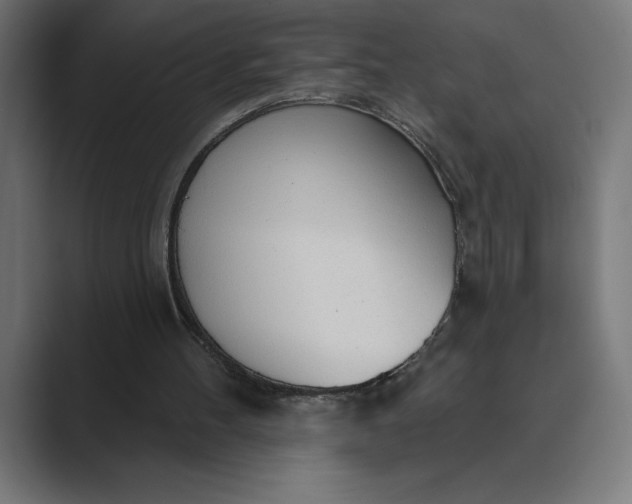 X0000089340100200706291009