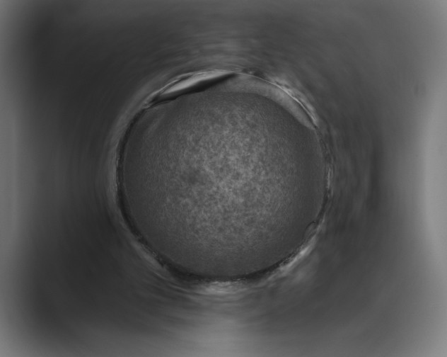 X0000089340101200706291009